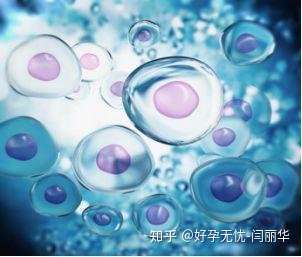 知乎专栏