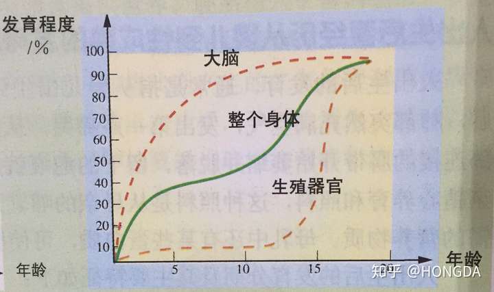 那么根据人的大脑发育曲线(如下图)来看,其实大脑发育趋于完善还是在