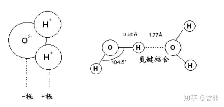 hf与水谁的氢键更长为什么