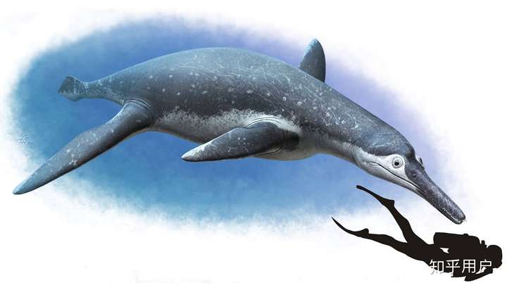 请问沧龙和上龙之间有什么区别吗?