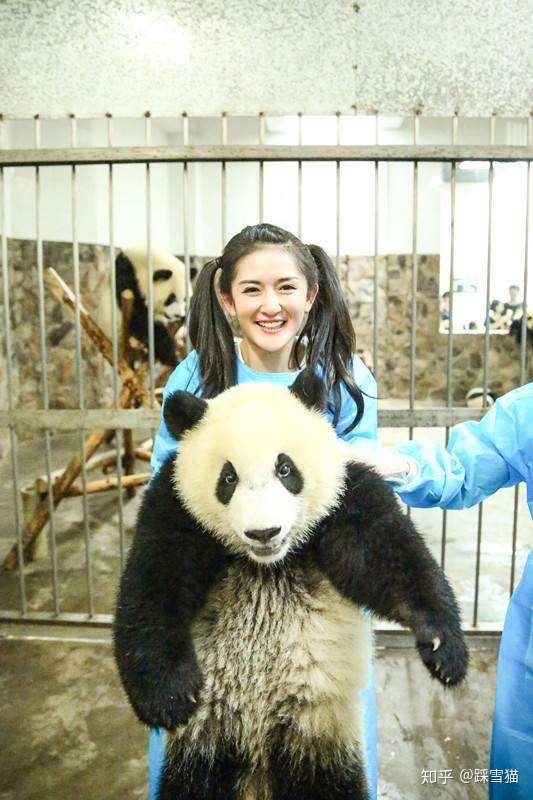 如何看待韩国艺人 blackpink 带妆无手套违规接触熊猫幼崽一事?