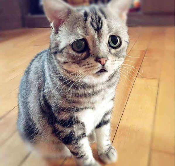 还在双手给垃圾桶套袋儿、手动打包吗?你Out了!