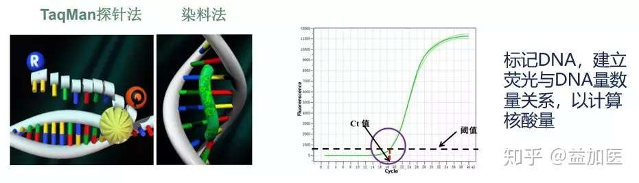 不容错过 分子生物博士权威解读8类pcr技术 知乎