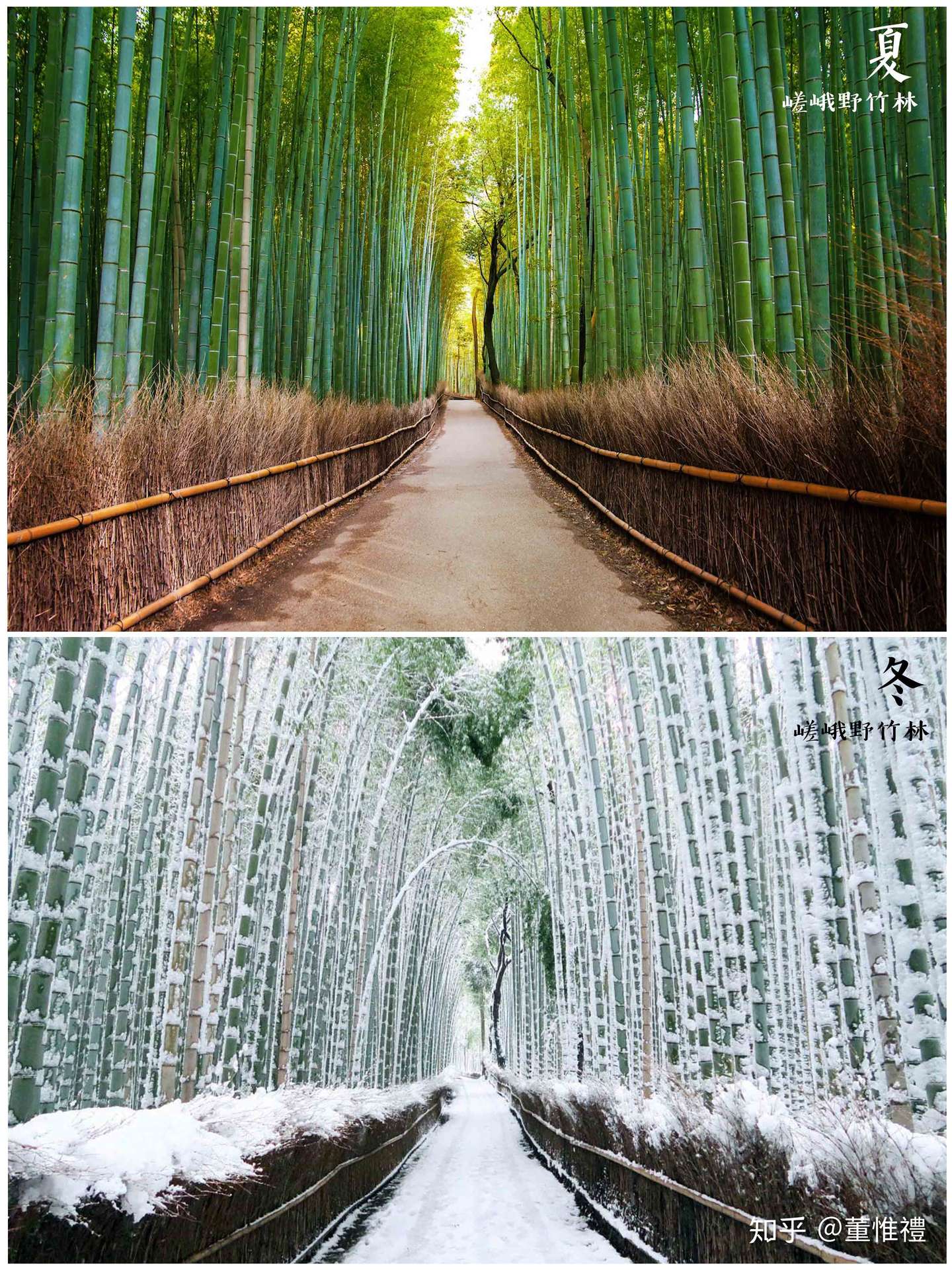 京都天龙寺 禅宗山水方丈间 知乎