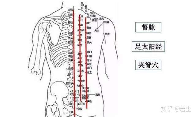 做1次背 你觉得没用 做5次背 头不晕 肩不痛 腰不酸 整人都精神了 知乎