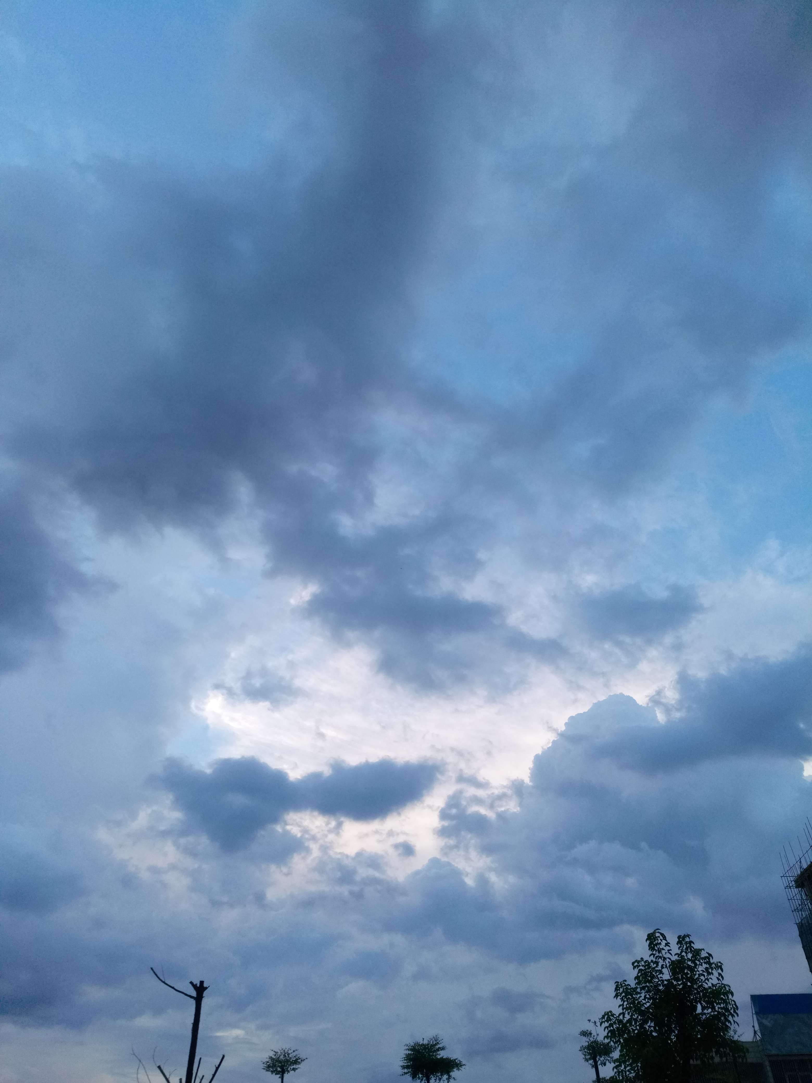 蓝绿康复治疗学在读