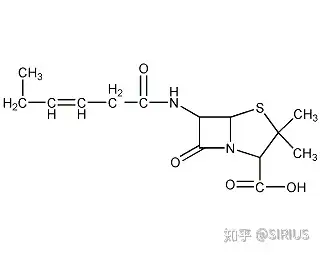 青霉属4mainmycotoxins