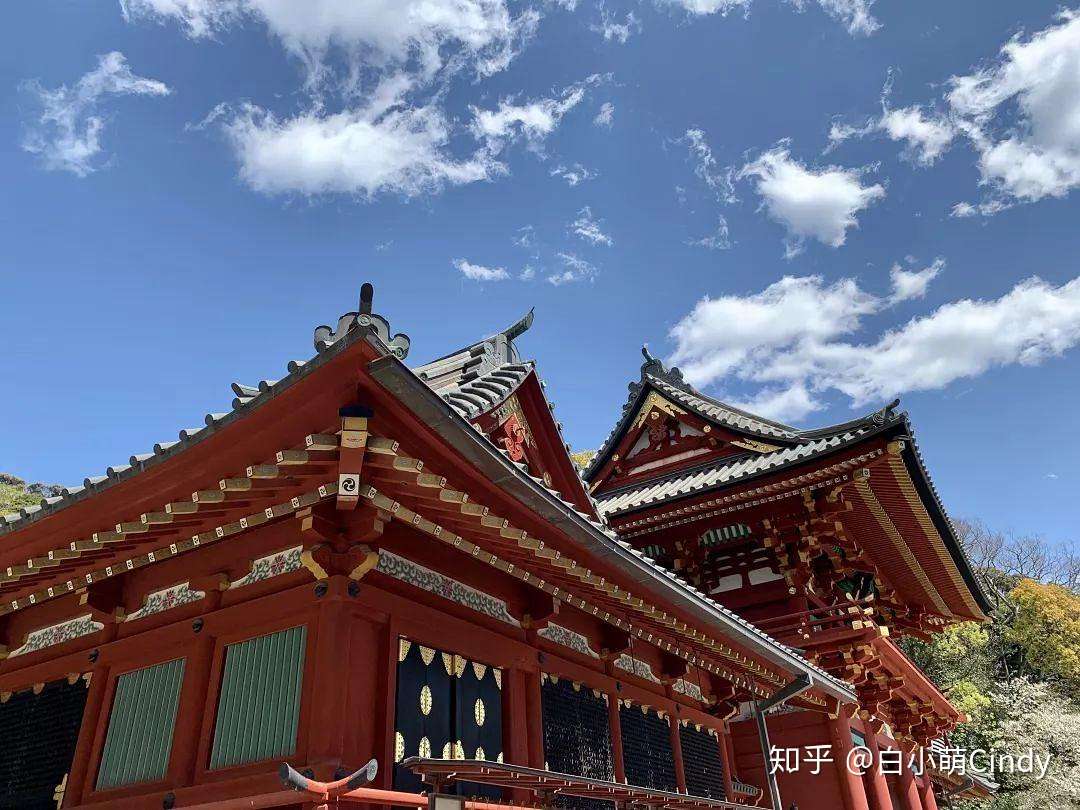 日本旅行 我们只是更像自己本该成为的样子 知乎