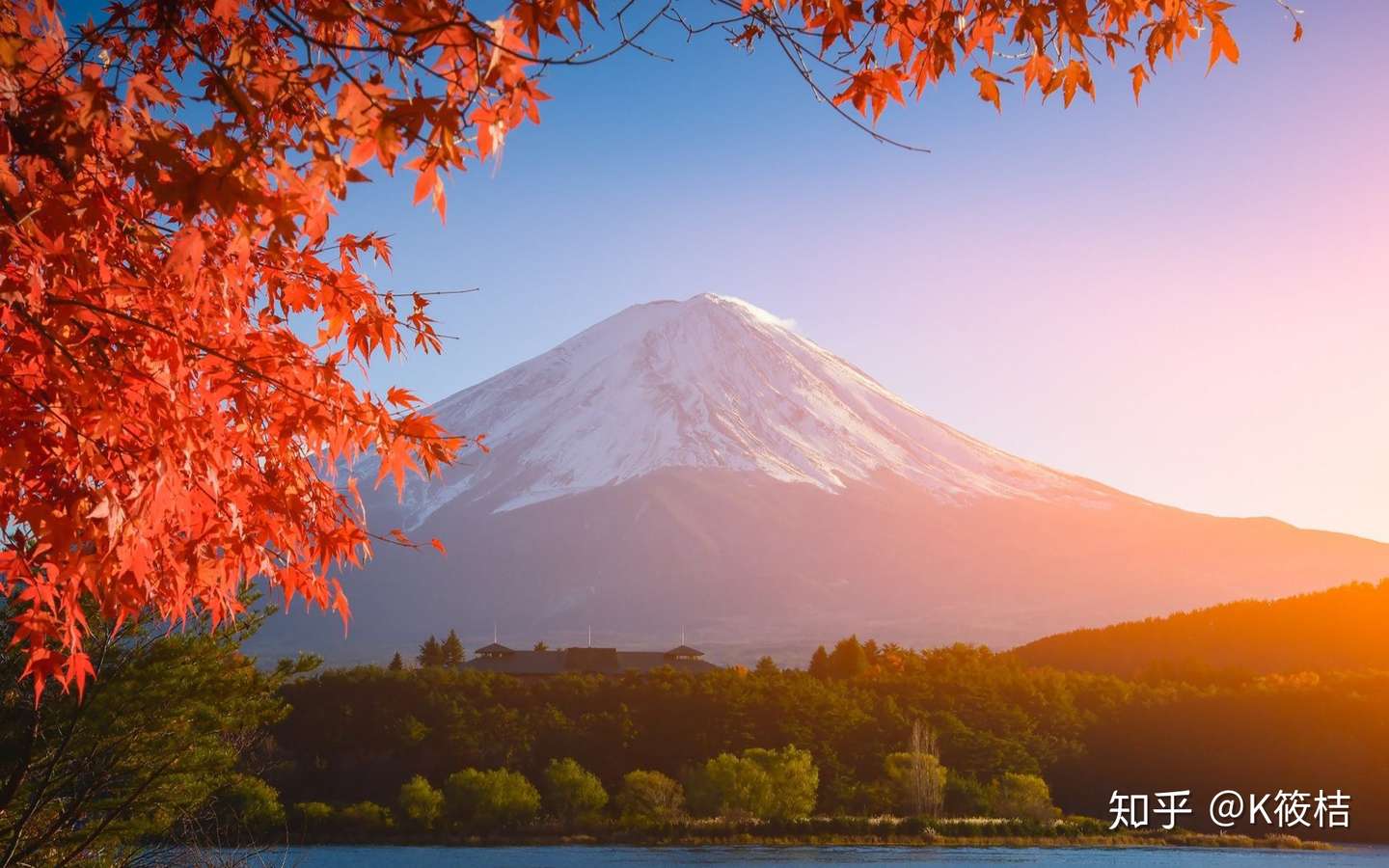 樱花季 红叶季 看我如何玩转富士山 知乎