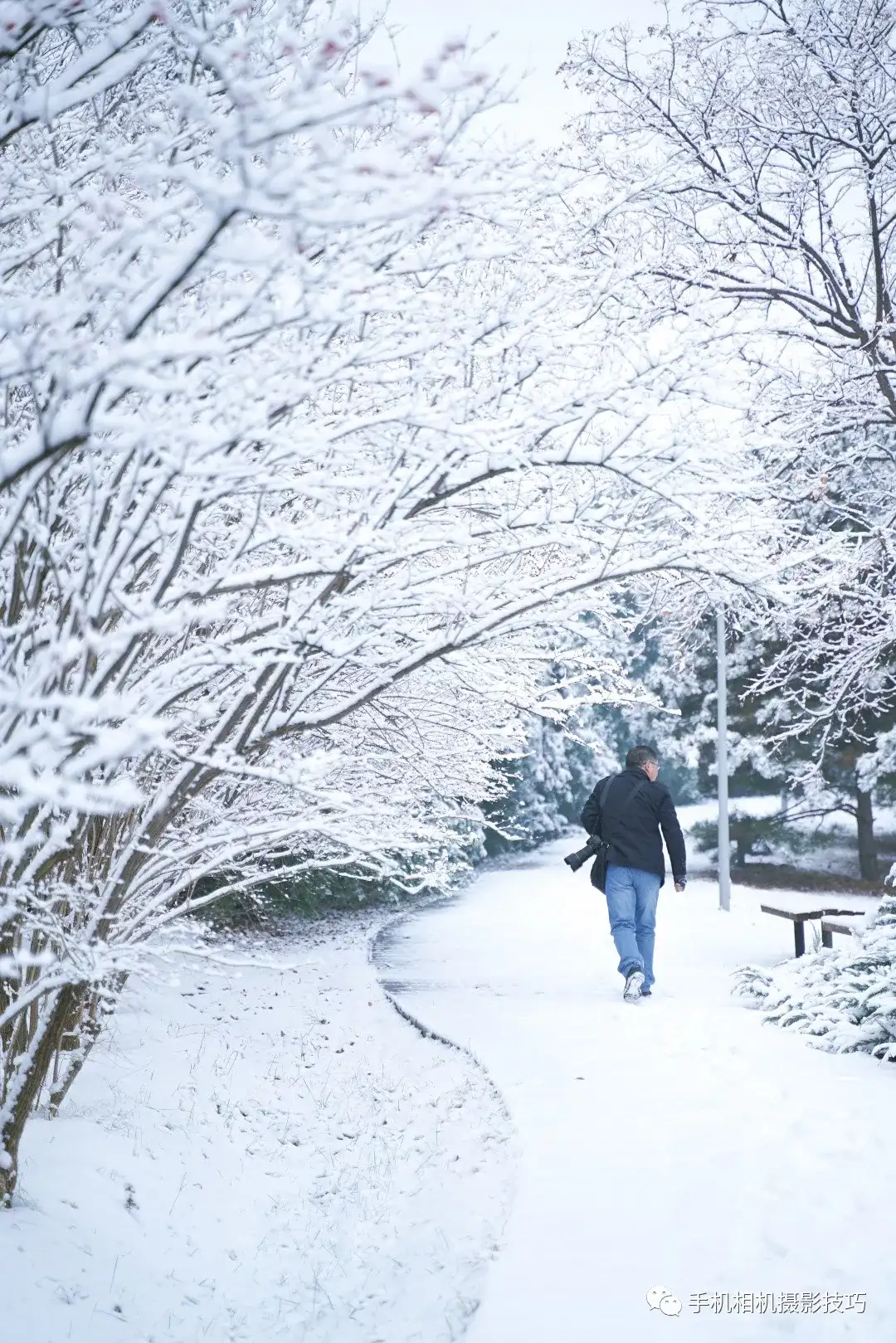 雪景这么拍，不出大片都难- 知乎