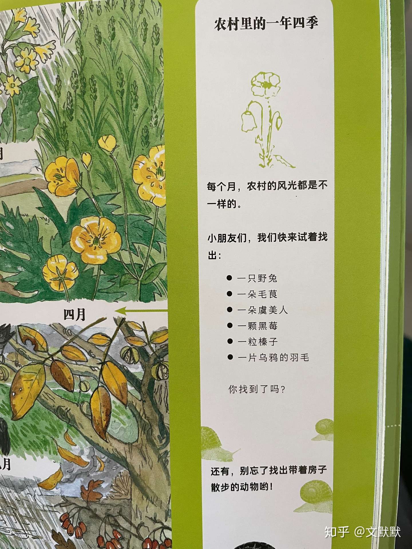 适合学龄前 低年级孩子看的科普类童书 绘本 后续会不断更新 知乎