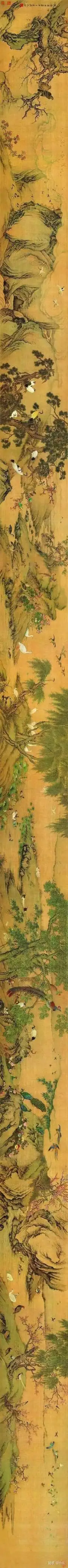 有人在卫生纸上画了一幅百鸟朝凤图
