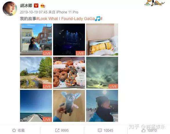 专访《热血同行》胡冰卿:艳势番一姐的硬核人生插图8 专访《热血同行》胡冰卿:艳势番一姐的硬核人生插图8
