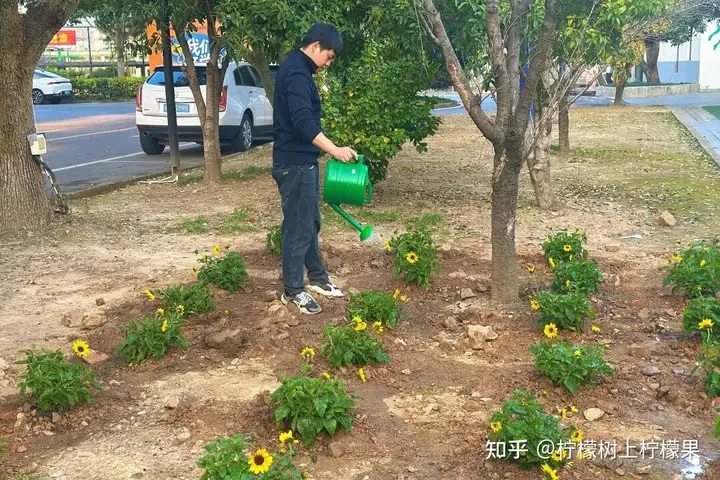 共植青綠夢 筑夢“五色”園丨富陽校區(qū)植樹節(jié)主題活動(圖5)