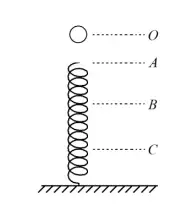 小球落弹簧模型