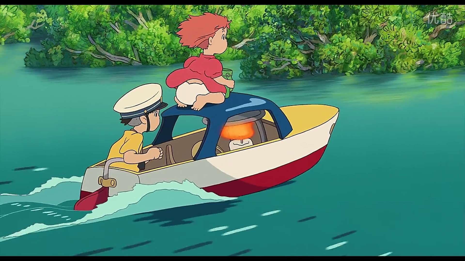 她的回答 按时间排序 如何看待山东理工大学学生虐猫并拍视频贩卖,两