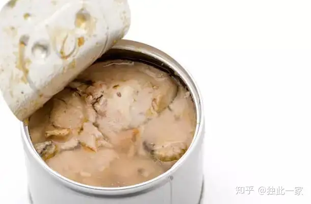 关于鲭鱼的营养及其真正惊人的价值 预防血脂贫血效果佳 知乎