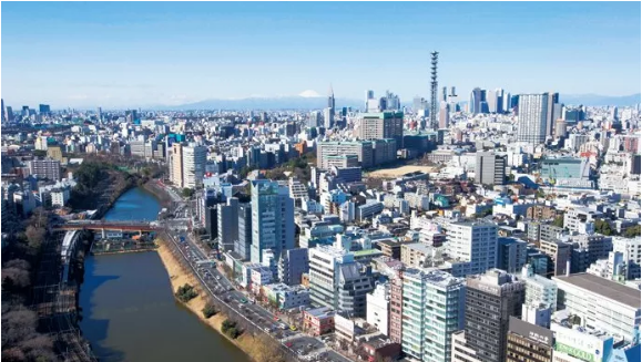 法学部 日本 大学
