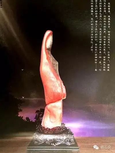看看这些奇石你一定会大饱眼福