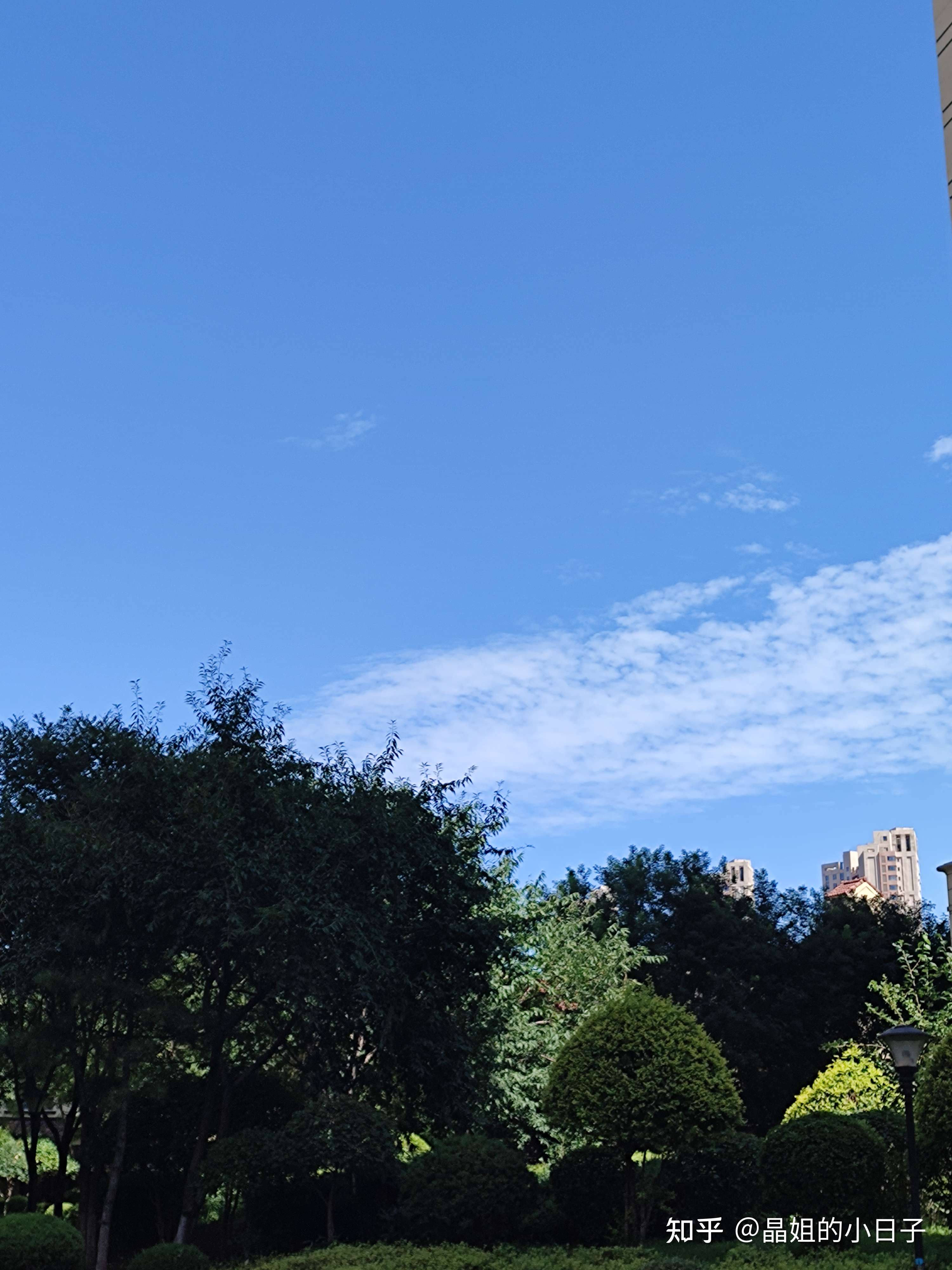 晶姐的小日子 的想法: 爱上了秋天的天空和变化多端的白云,是那