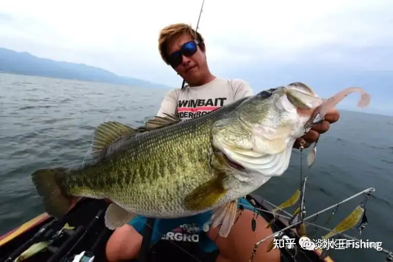 路亚 心得丨黑鲈世界纪录保持者谈路亚巨物的体会心得 超级巨物的钓法 栗田学金言集 知乎