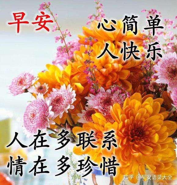 6张最新免打字漂亮鲜花早上好问候图片唯美夏日早安问候祝福图片鲜花带字 知乎