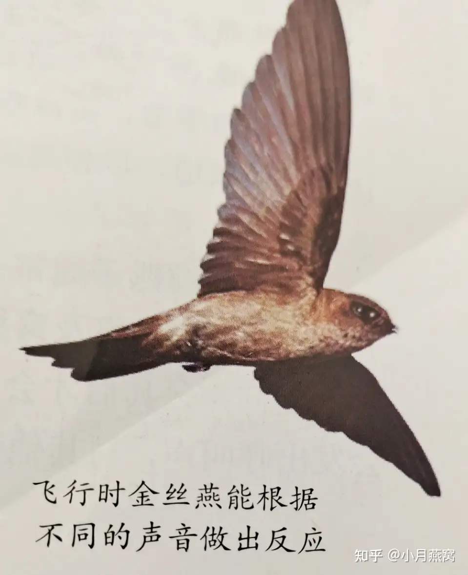 Xuo4vg3lbk102m Xuo4vg3lbk102m