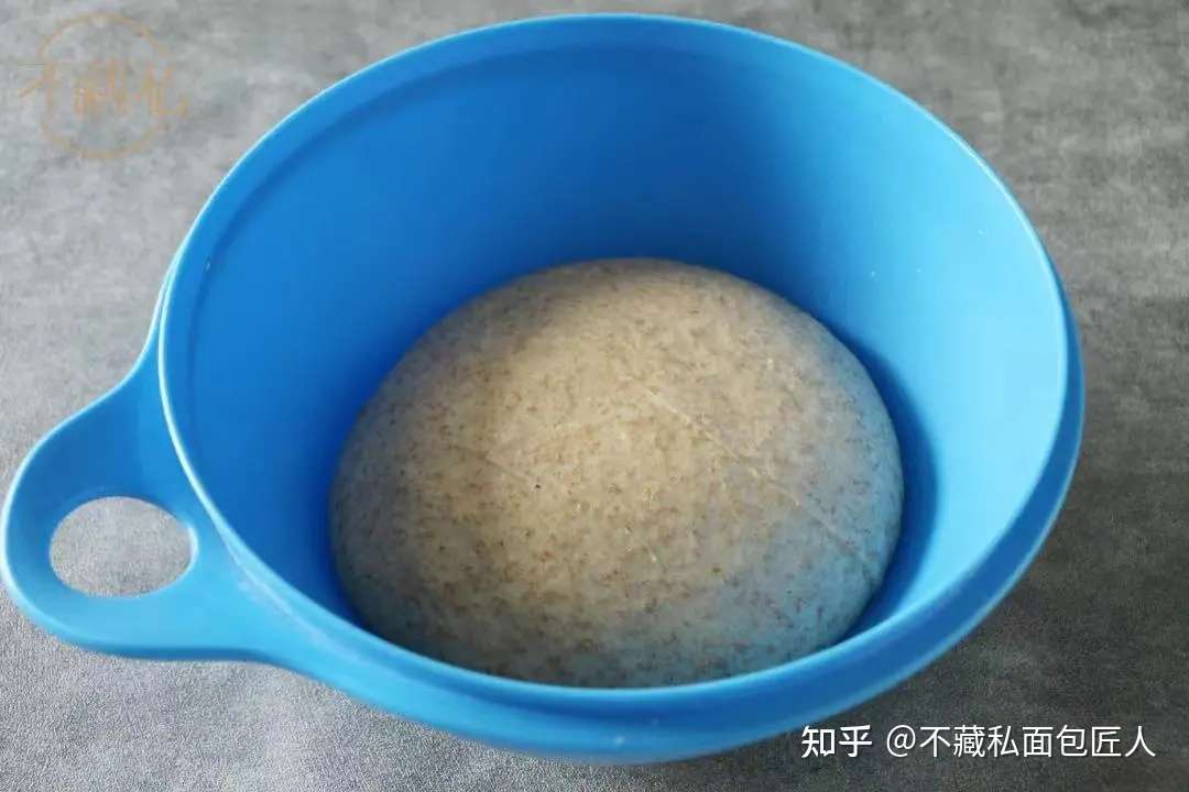 结束发酵的最佳时机 是什么时候 知乎