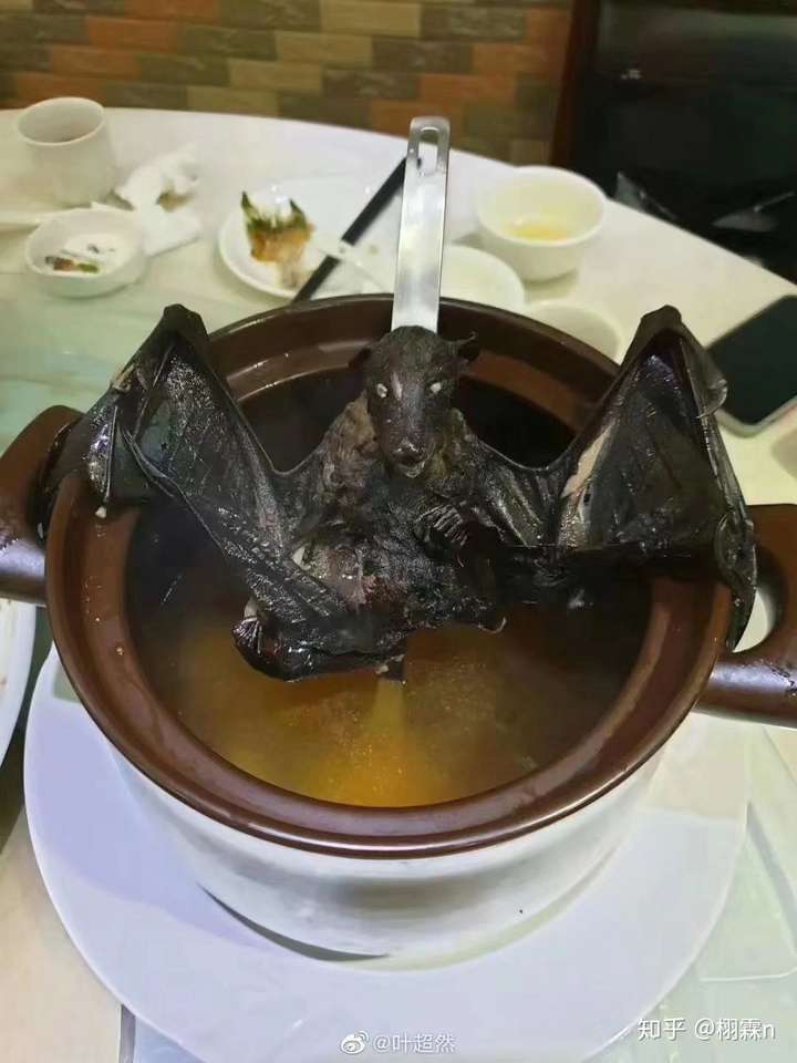 我看煮蝙蝠的疗效刚刚好很适合.