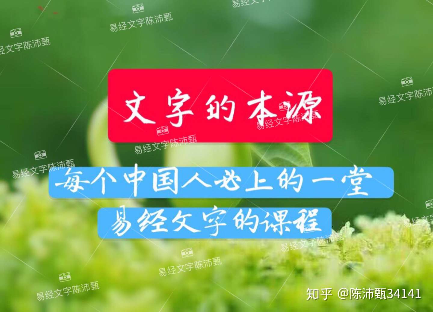 易经文字黄裕棠取名 我这么信你 你为什么不帮我 560 知乎