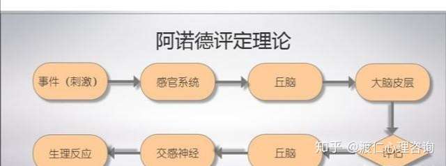 情绪产生理论较多,为方便理解只列举了 阿诺德评价理论