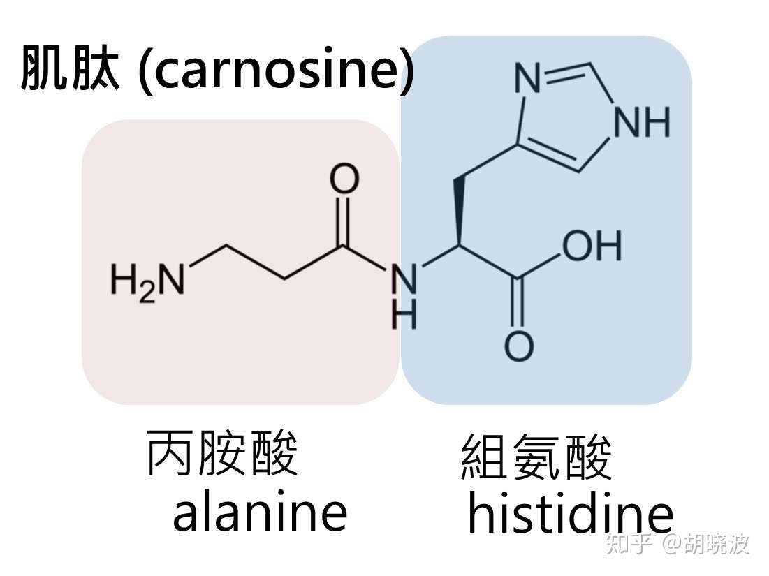 最全的肌肤抗糖化的处方 请看这里 知乎