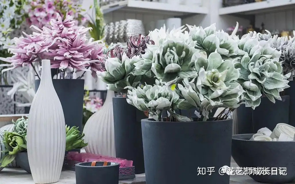 每日一花 花店花材保鲜的5种方法 花店人都该知道 知乎 每日一花 花店花材保鲜的5种方法 花店人都该知道 知乎
