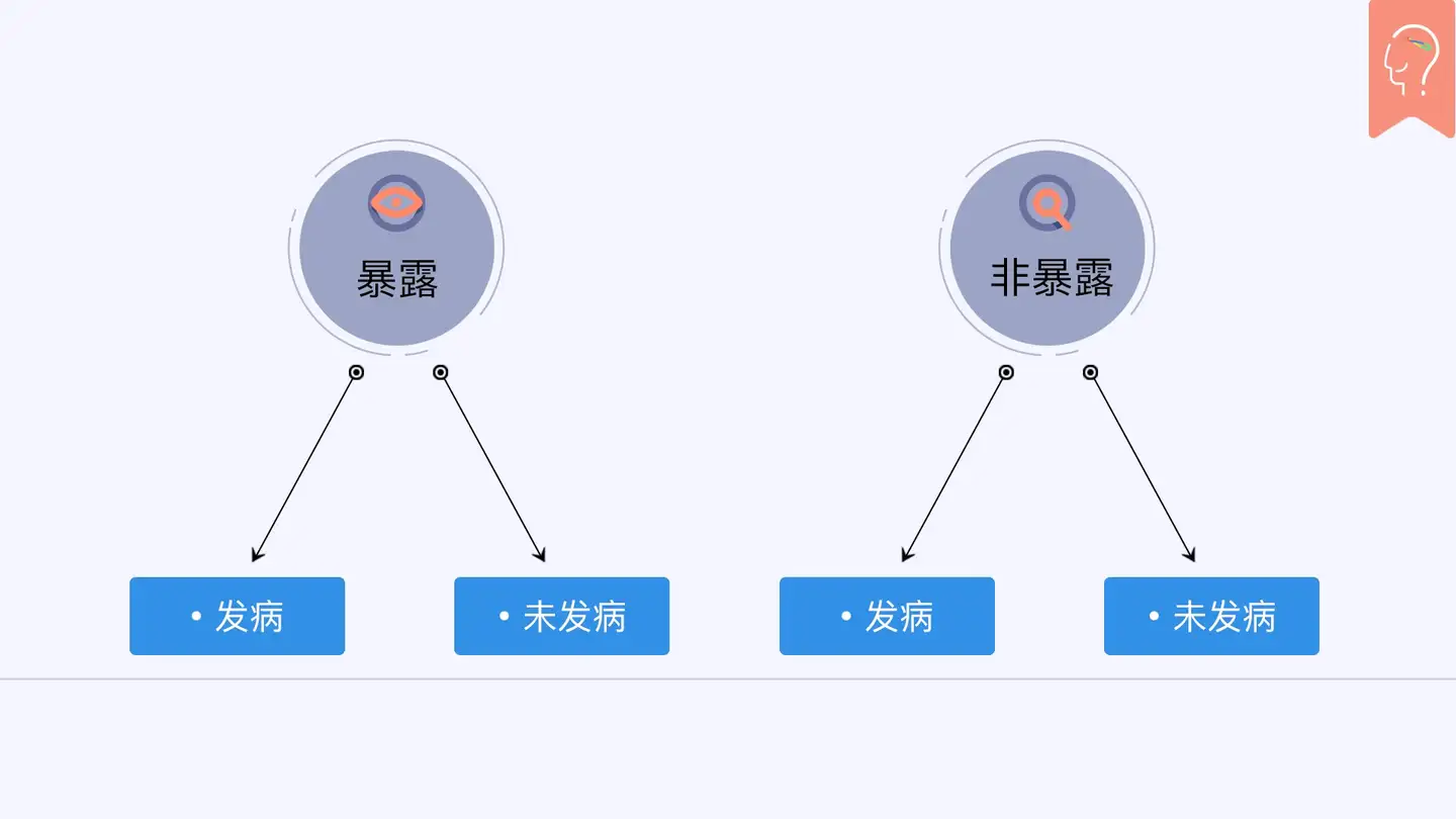 Rr 研究