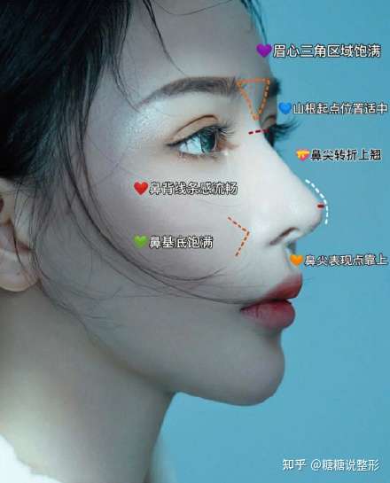美商进阶 怎样做出好鼻子 山根篇 知乎