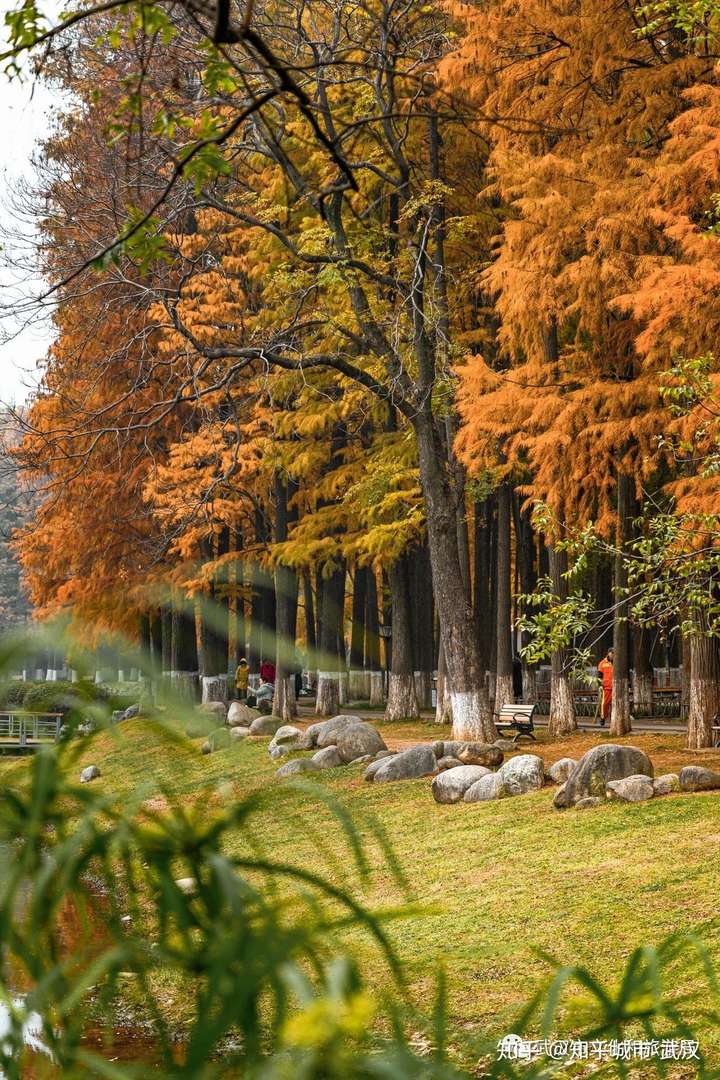 冬天的武汉,现在只差一场雪|2020.12.10 武汉早报