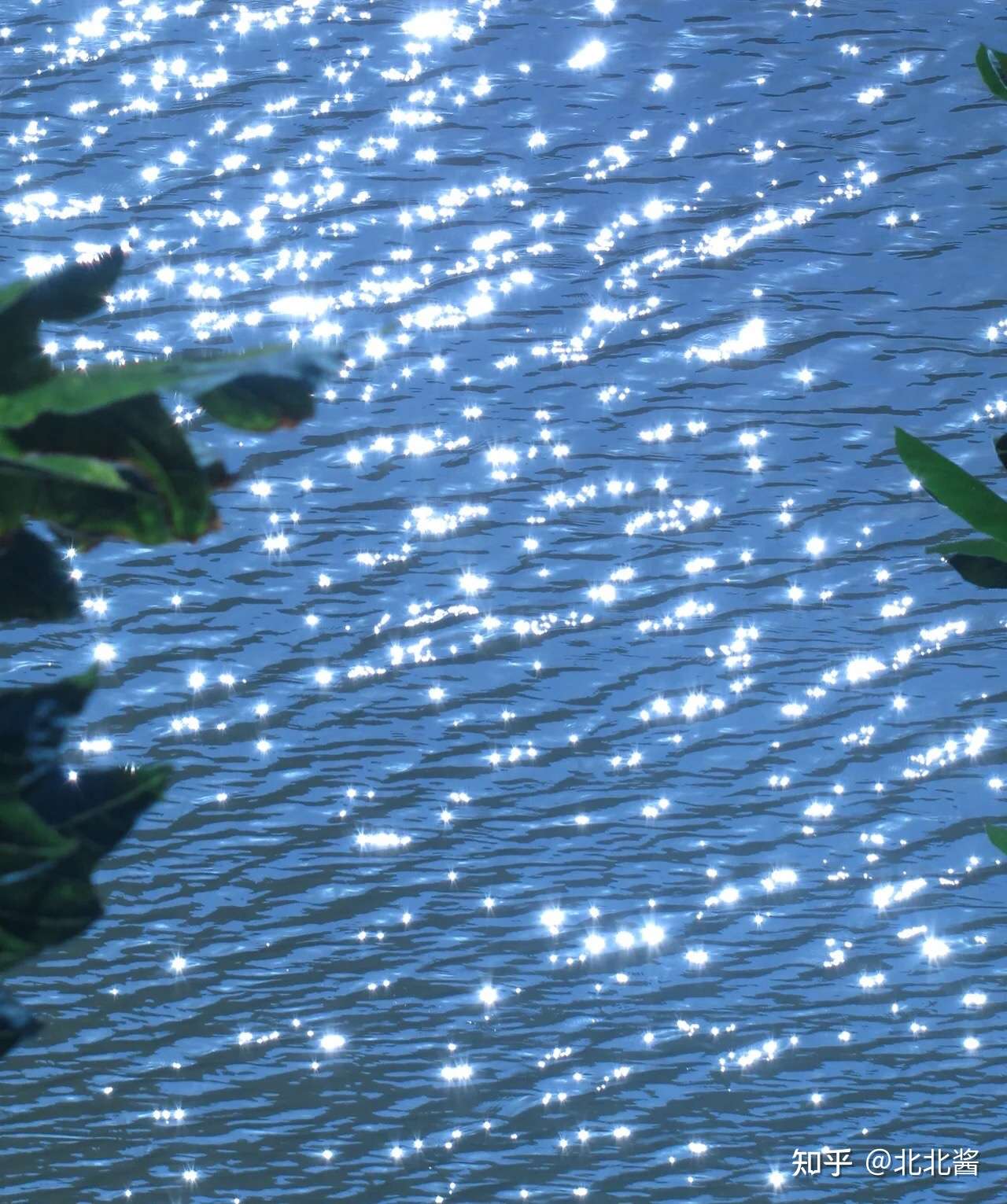 波光粼粼水波荡漾图片