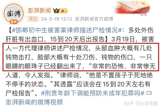 《金字塔游戏》辱骂、殴打、喂虫,面对校园霸凌,她不再沉默!