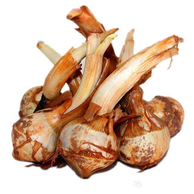 长的像荸荠,但皮是白色的……?