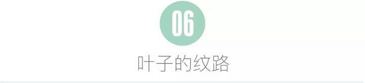 巧用身边小物件,你也可以做出米其林星级的巧克力装饰