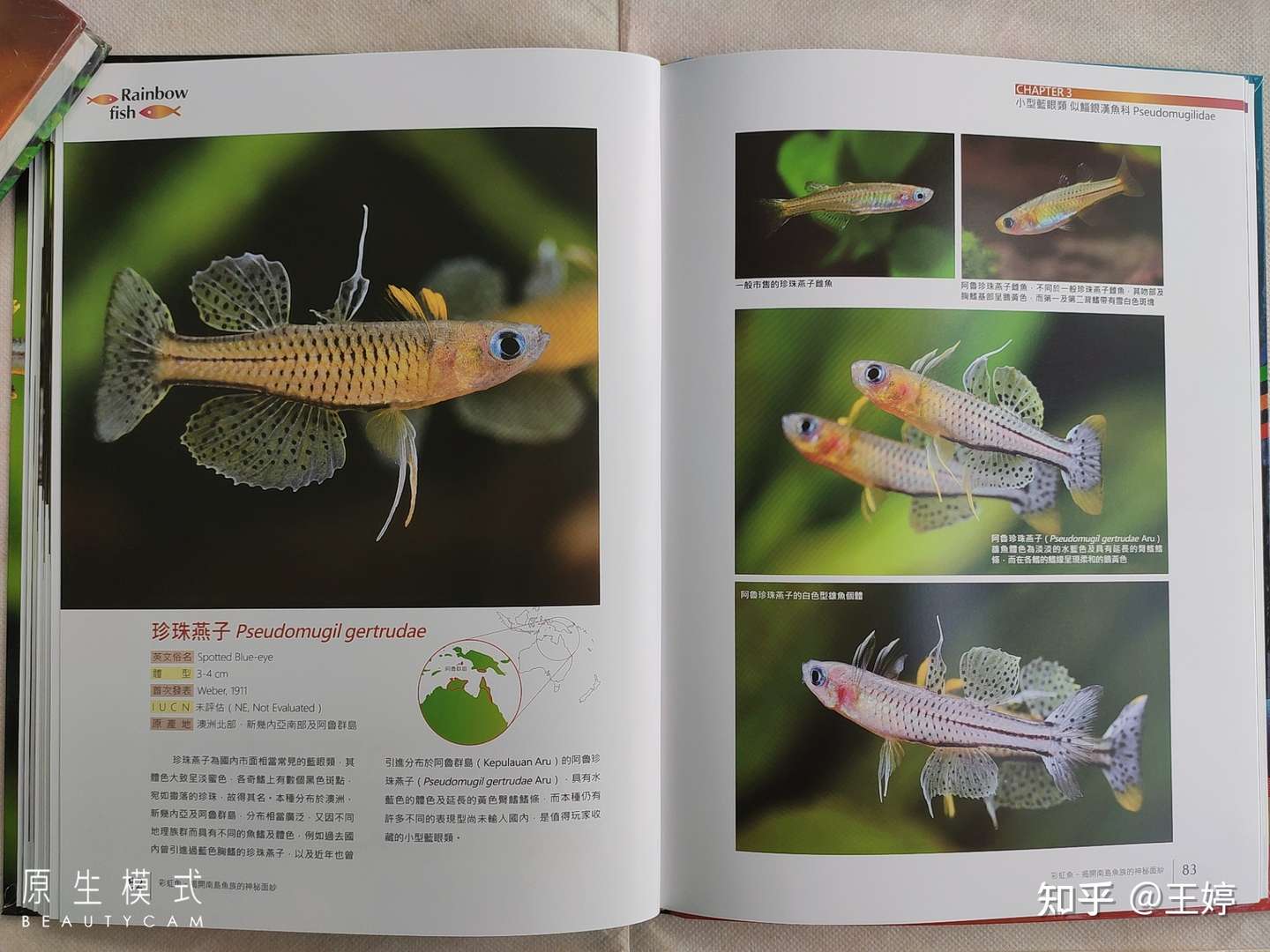 水族书籍推荐之 彩虹鱼 揭开南岛鱼族的神秘面纱 知乎