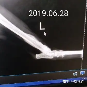 狗狗骨肉瘤长什么样宠物医生免费咨询