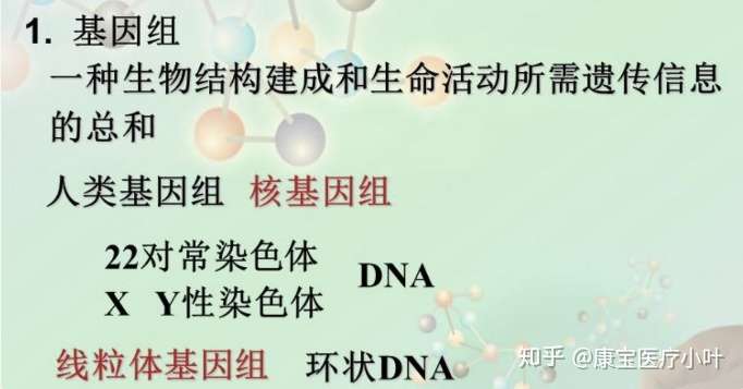 知乎专栏