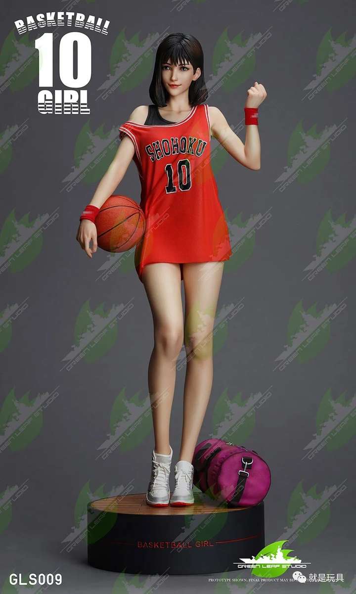 看了绿叶的赤木晴子我终于明白为什么樱木要打篮球了