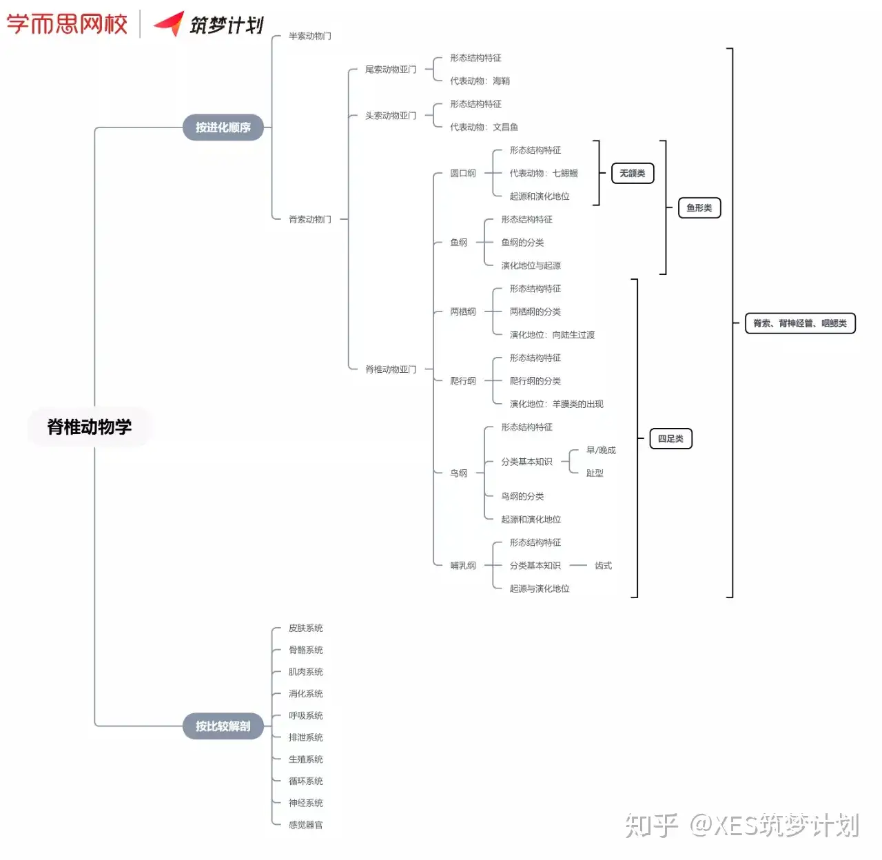 广明老师专栏 四 动物学复习建议 知乎