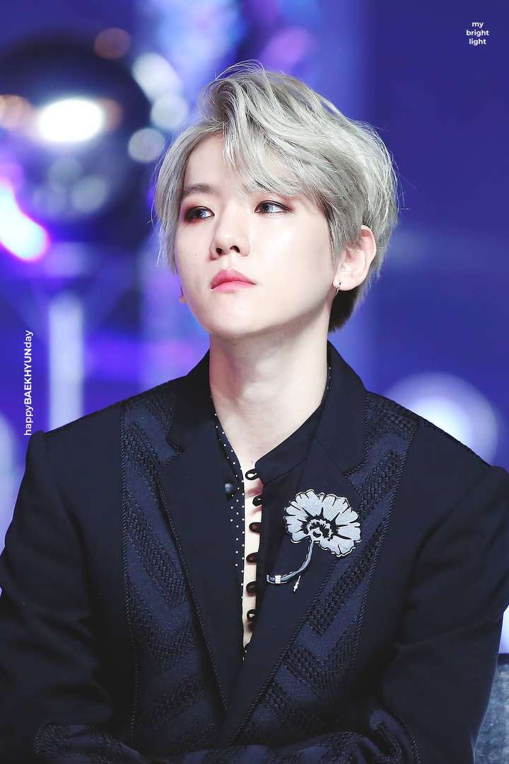 谁被称为天才爱豆?