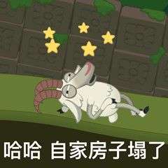 房子塌了什么梗表情包有吗