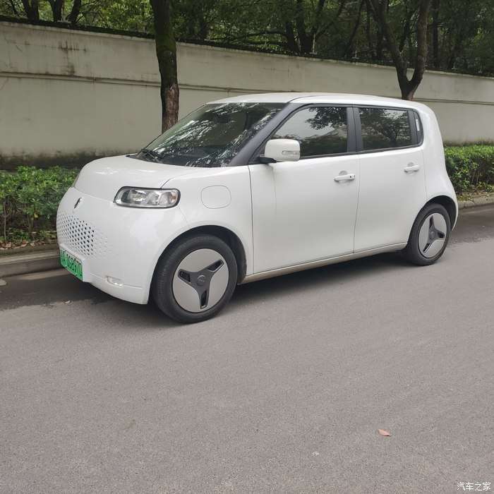 等待天晴洗澡的小白猫我的爱车欧拉白猫