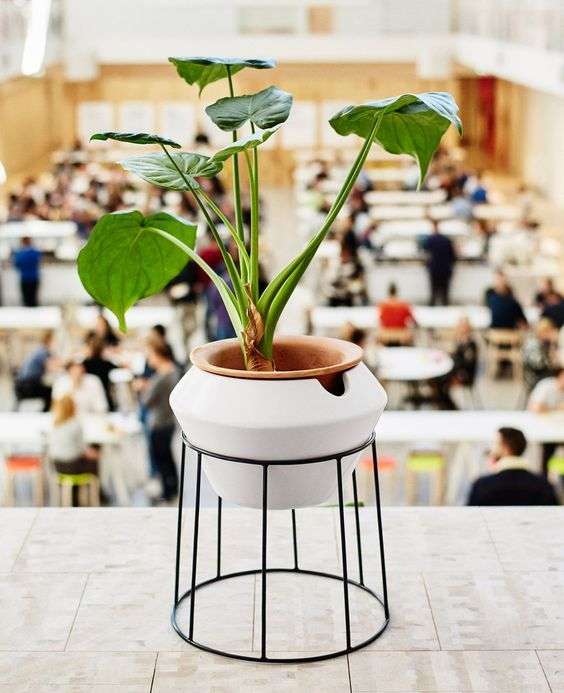 拼死都要扛回家 宜家最最值得买的设计线 真没白等3年 设计师自曝 内部已经玩嗨了 知乎