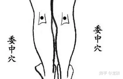 zhuanlan.zhihu.com